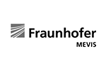 Fraunhofer Mevis